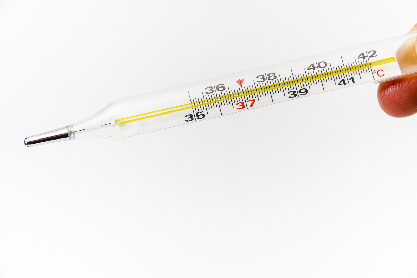 ��-�� �������� � 49-������ ������� �������� ���������� ������ � �������� ������