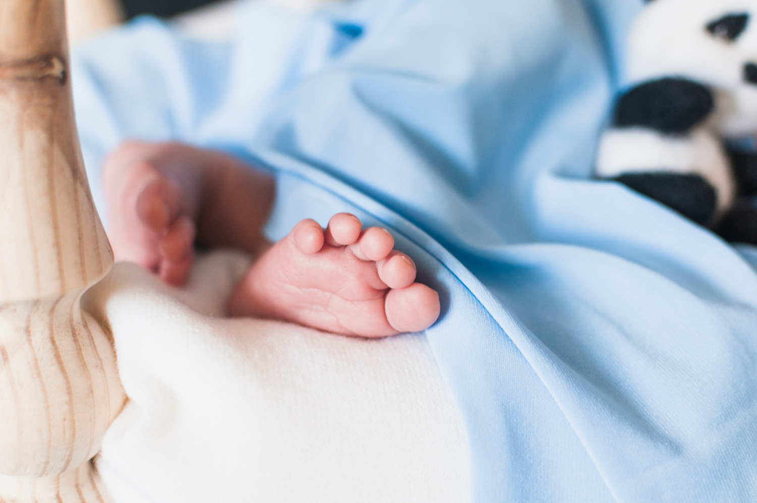 � ����������� ��������� �������, ���������� ������� �� �������