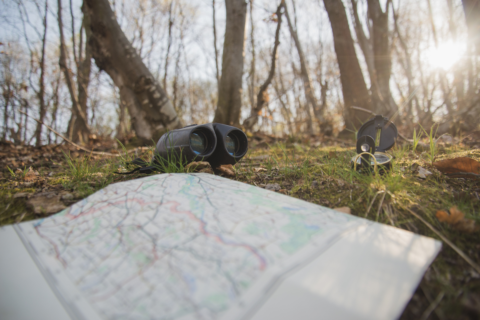 Судмедэксперт Кириленков сообщил, что останки семьи Усольцевых опознают по ДНК