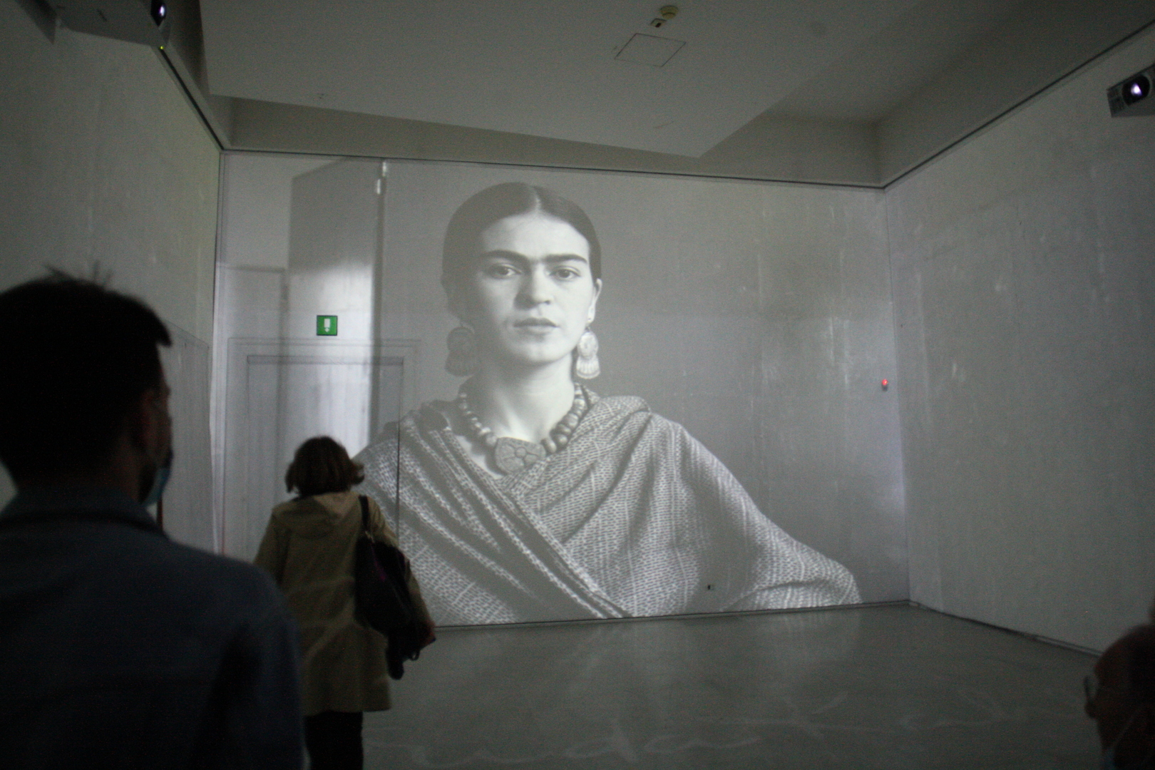 Выставка, посвященная Фриде Кало