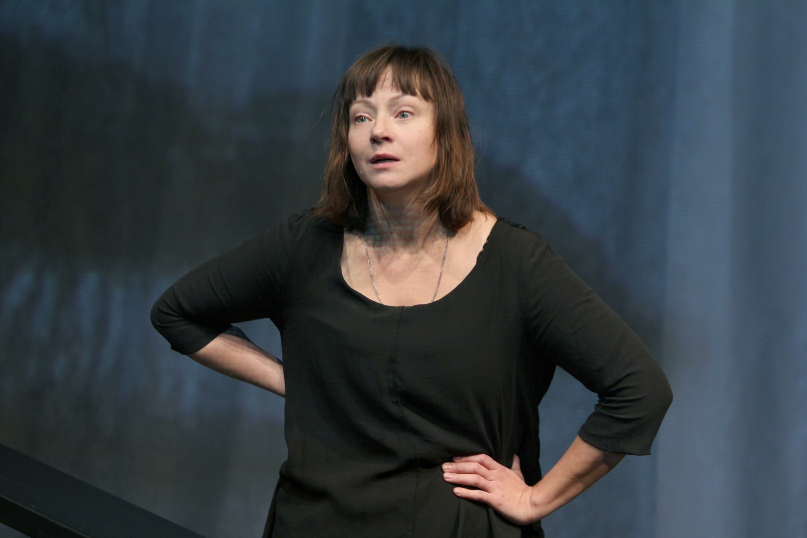 Евгения Добровольская в 2014 году приняла участие в рекламной кампании впитывающего нижнего белья Depend
