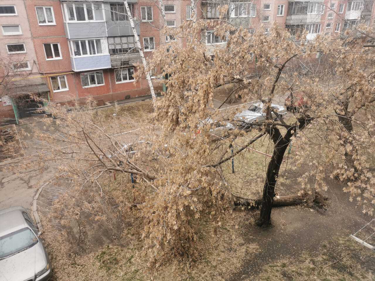 Ураган сорвал крыши домов и снес остановки в городах Алтайского края