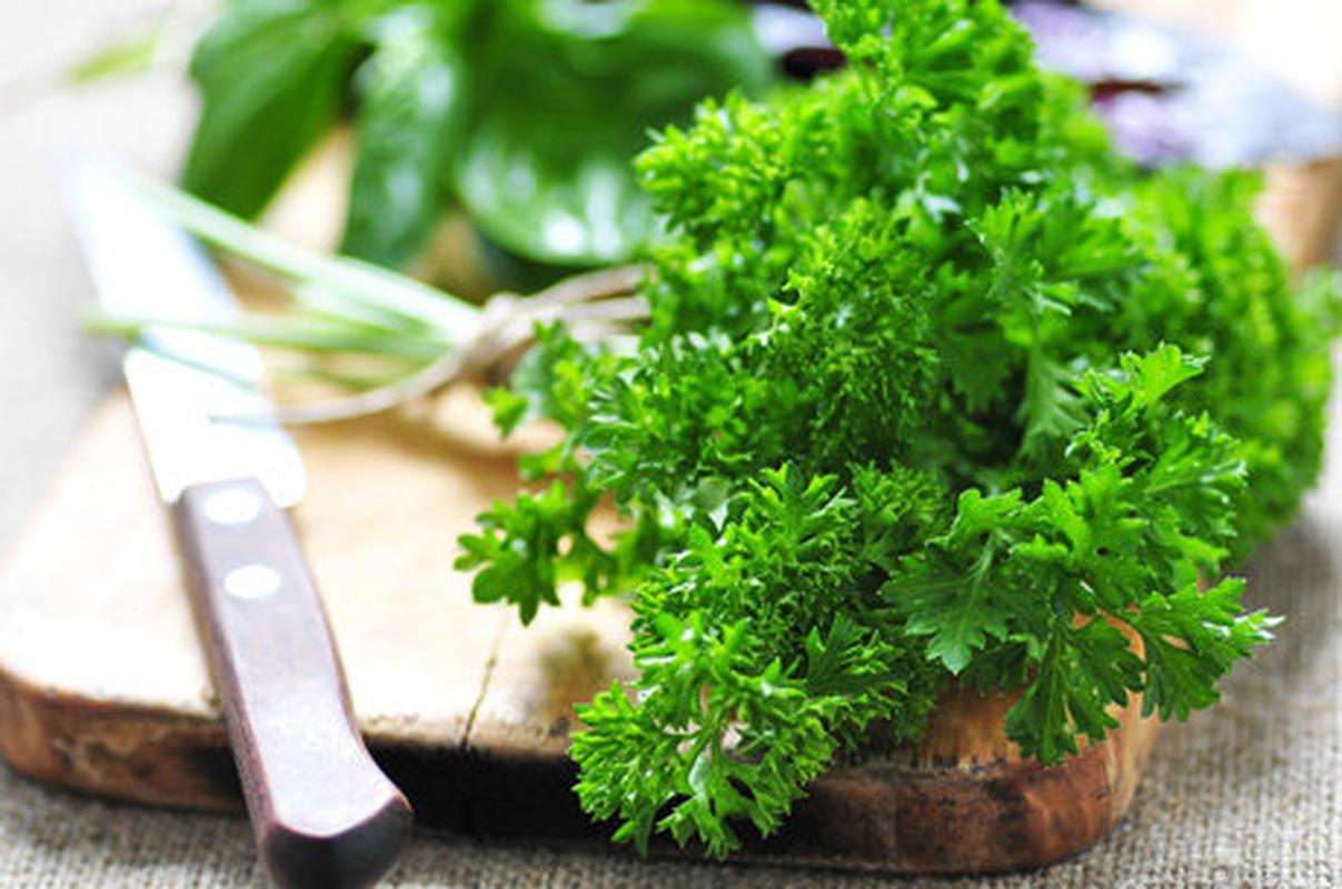 Resultado de imagem para difference between parsley and kale