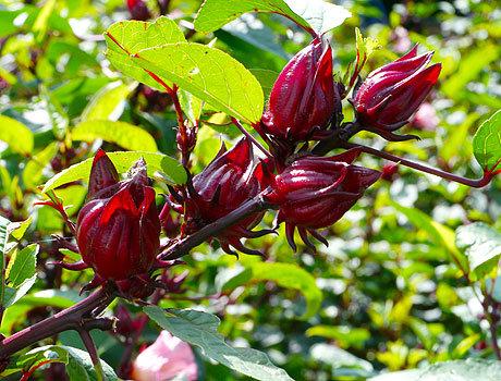 ÐÐ°ÑÑÐ¸Ð½ÐºÐ¸ Ð¿Ð¾ Ð·Ð°Ð¿ÑÐ¾ÑÑ ÐºÐ°ÑÐºÐ°Ð´Ðµ Ð¿Ð¾Ð»ÑÐ·Ð°