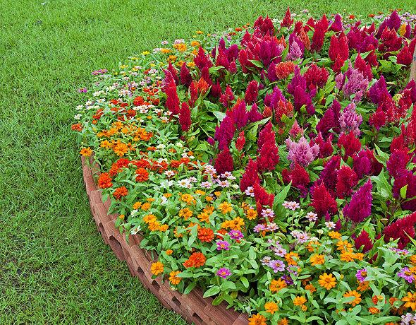 На этом месте растёт текст, но он ещё не созрел.