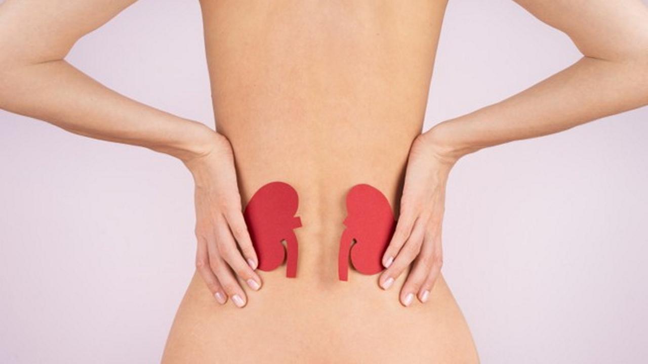 Где находятся почки у женщин фото со спины. Где находится поясница у женщин фото. Расположение почек у женщин со спины фото