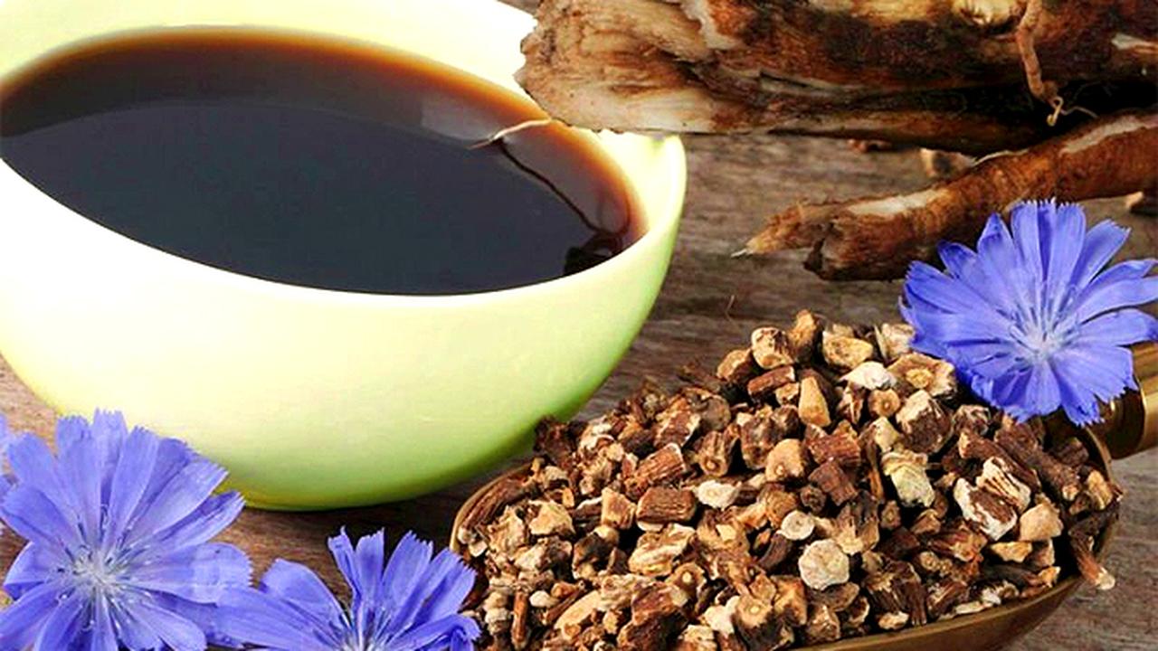 Цикорий чай. Цикорий что используется. Цикорий свойства. Цикорий обыкновенный корневой. Цикорий что используется.