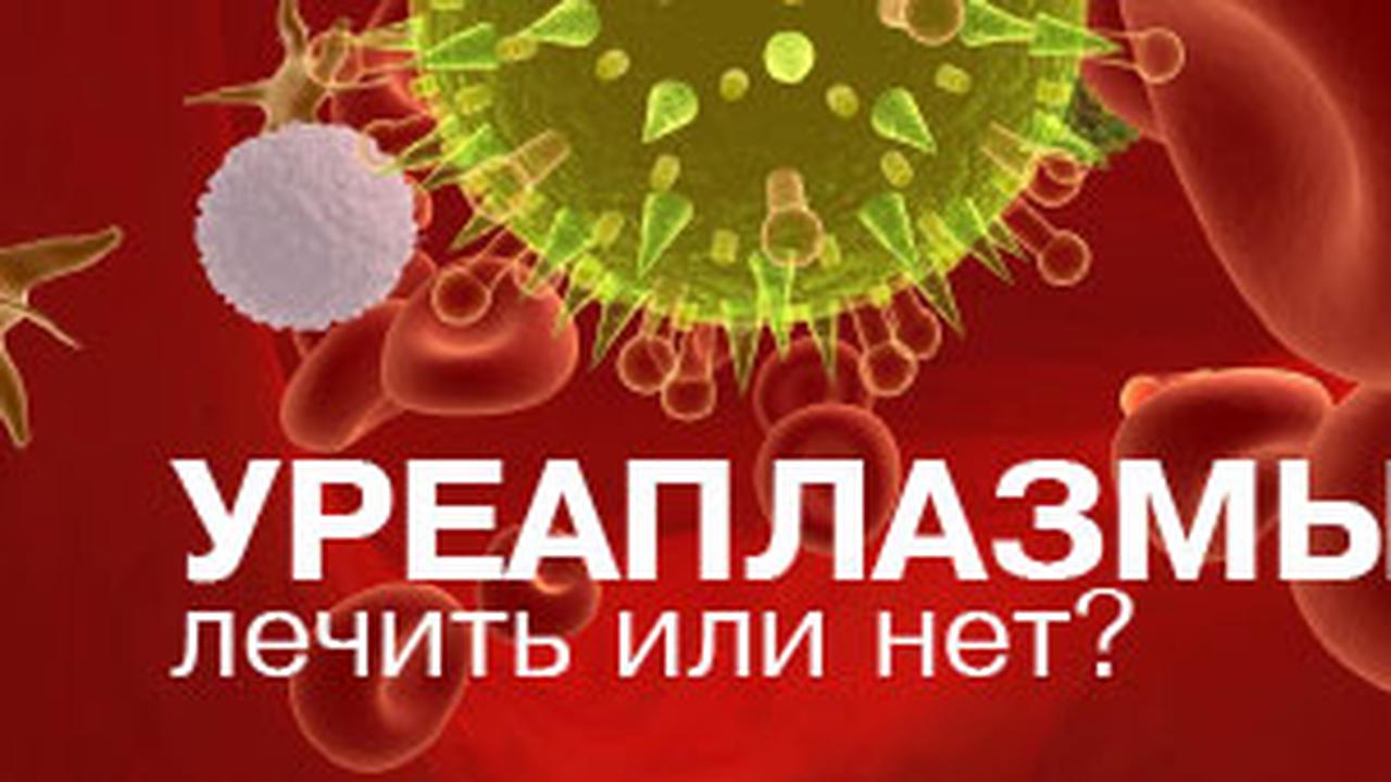 Уреаплазма референсные значения. Ureaplasma urealyticum t 960. Уреаплазма пути передачи и заражения. Впч скрин титр. Уреаплазма уреалитикум parvum.