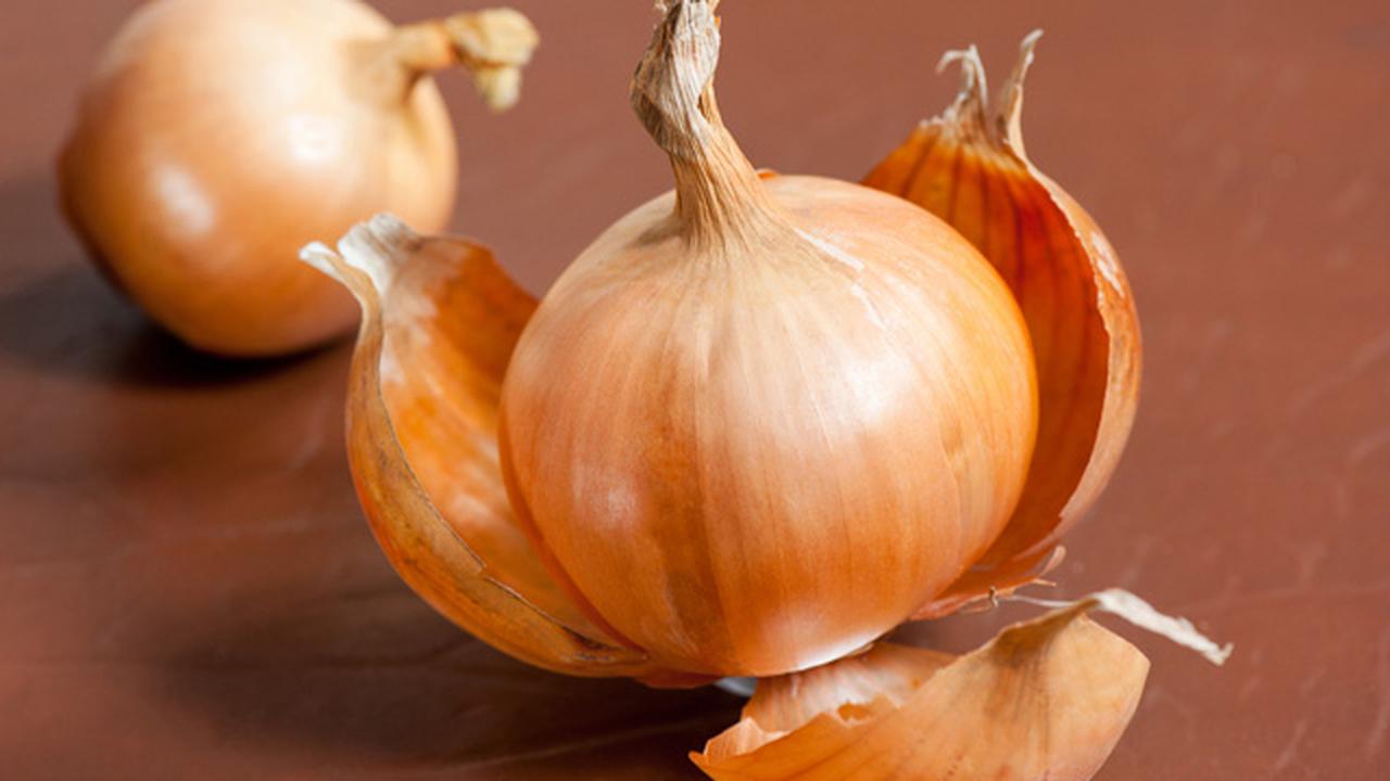 шелуха репчатого лука. шелуха репчатого лука. луковая шелуха. луковая шелуха. луковая шелуха народная.