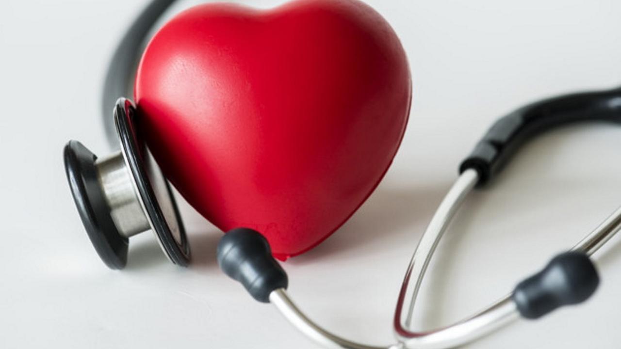 Сердце спорт. Сердечно сосудистые путевки. Сердце пациента. В реабилитации пациентов с ссз. Сердечно сосудистые путевки.