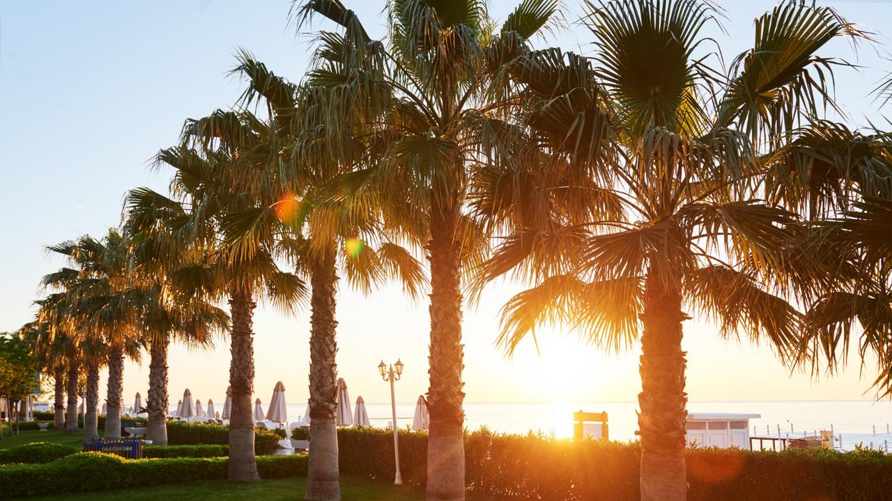 На пляж ни ногой: жена-гинеколог Александра Малинина рассказала ...