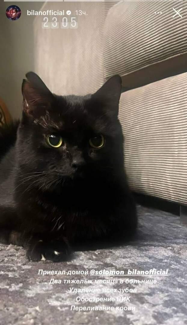 Удалили зубы и сделали переливание крови: Дима Билан озвучил страшный диагноз