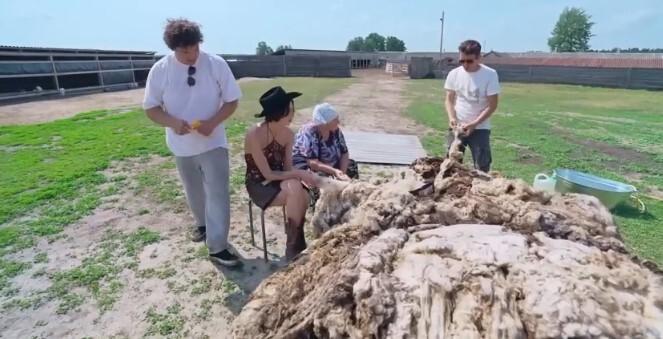 «Когда женщина работает, — это музыка!»: муж Ивлеевой показал, как она возится в грязи на ферме