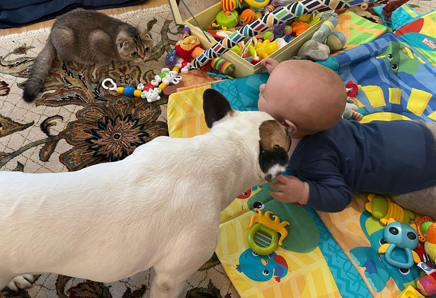 Сын Сергея Безрукова Василий с домашними питомцами