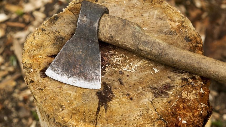 В Подмосковье тесть встал на колени перед зятем, а после зарубил его топором