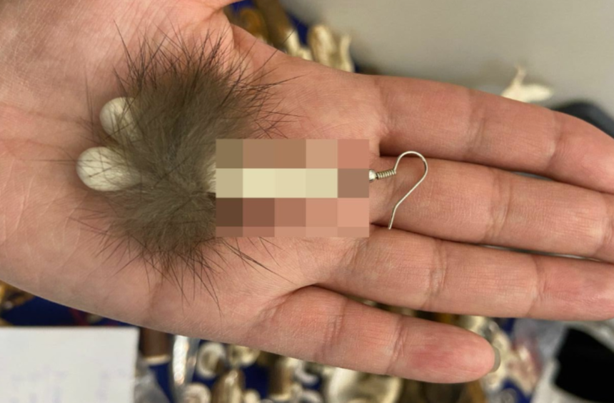 Серьги в виде пениса становятся всё популярней