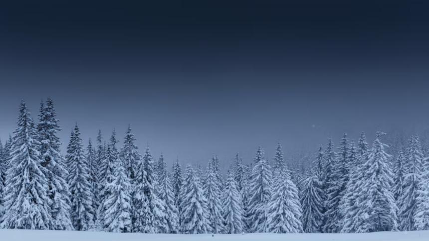 Бурятская учительница спасла малыша из снежного плена