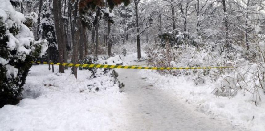 Корпоратив в Домодедове спровоцировал поножовщину и стрельбу