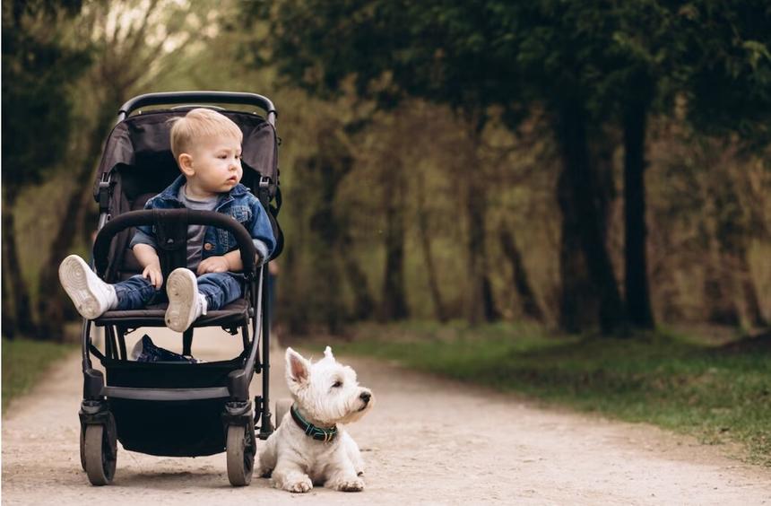 В Подмосковье задержали участницу банды по продаже детей