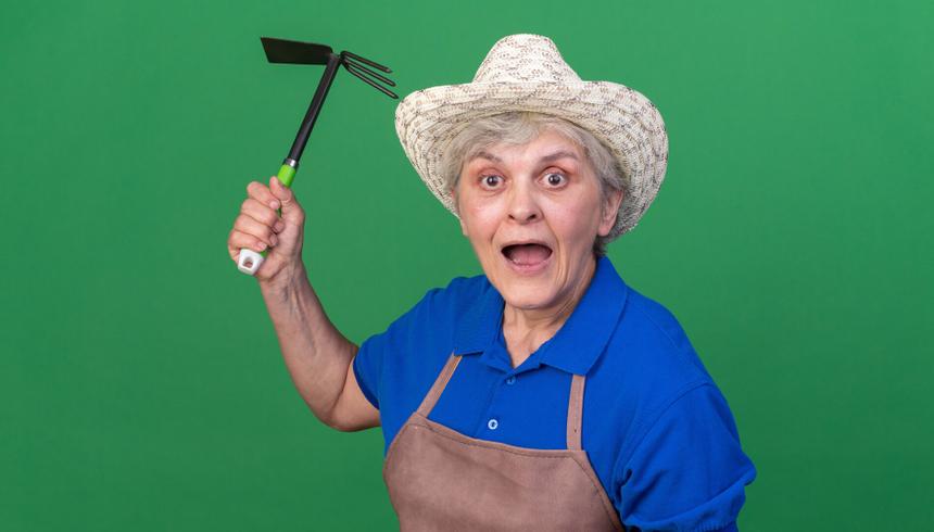 Пенсионерка с топором разгромила магазин хозяйственных товаров в городе Ржев