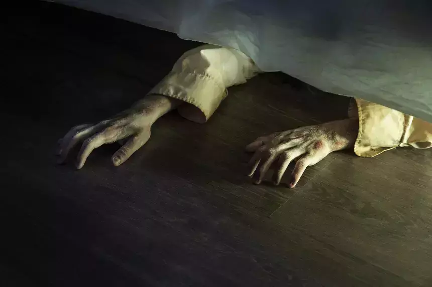 Соседи учуяли запах: мумии мамы и сына нашли в московской квартире