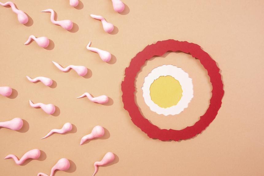 Один ребенок от трех взрослых – это уже реальность