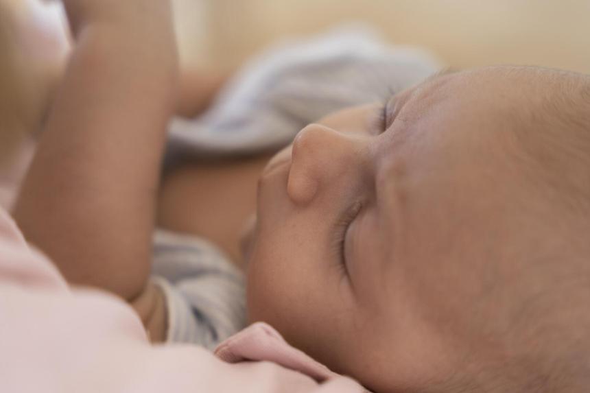 «Труп младенца притащила собака»: в Сумарской области мать убила двоих новорожденных детей