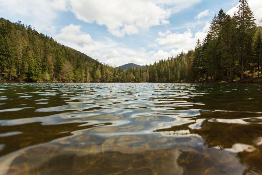 Изрезанный друзьями подросток в Новосибирской области пришел в себя