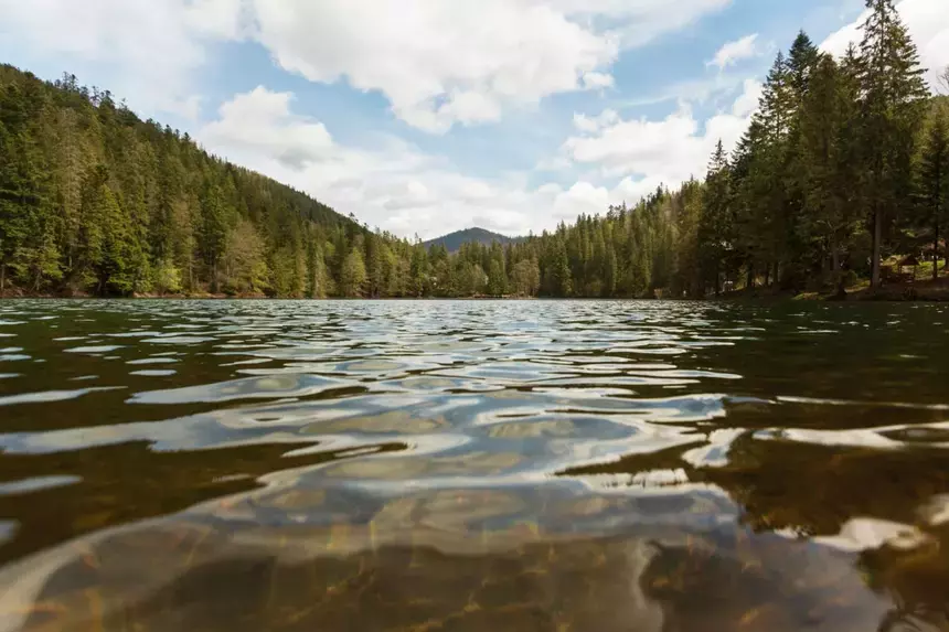 Второй ребенок убежал: многодетную мать подозревают в убийстве дочери на реке в Ярославле