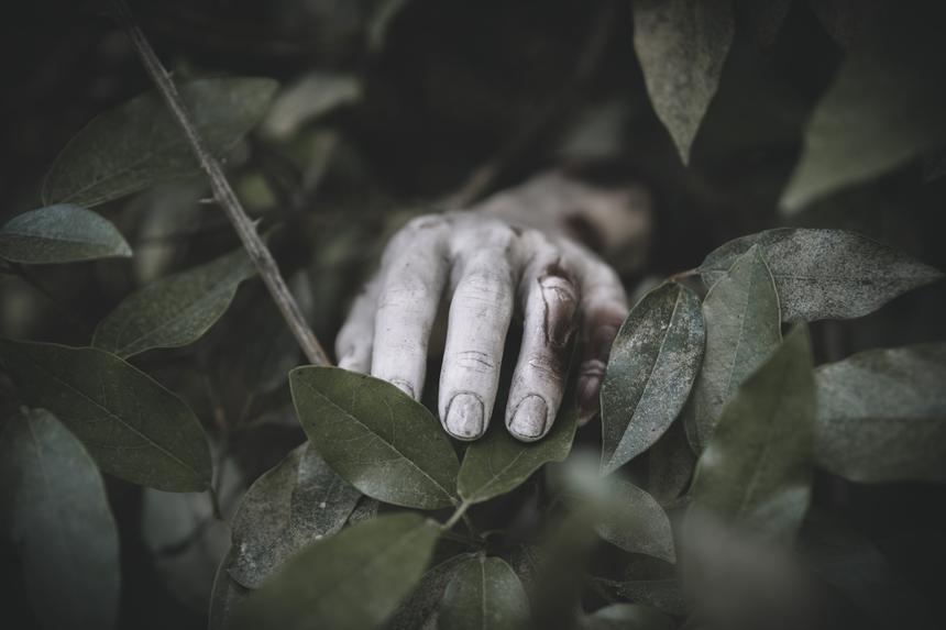 «Это убийство»: обнаружены новые улики у тела студента, найденного спустя 6 лет в лесу