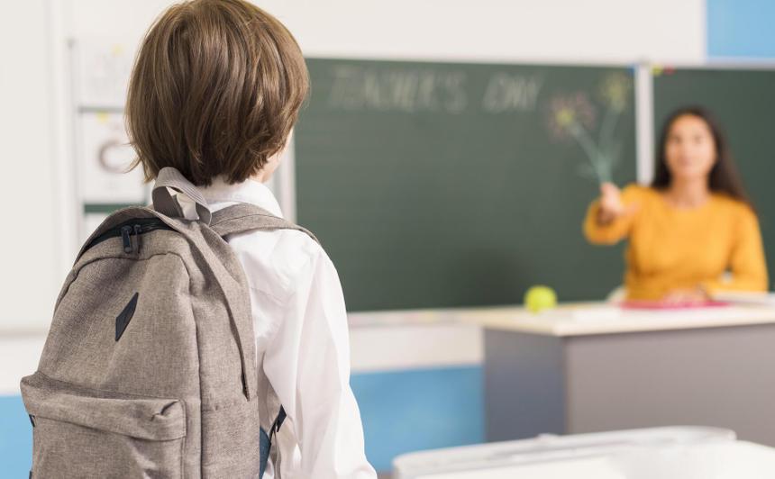 Хотел пополнить коллекцию: пятиклассник нашел в клумбе гранату и принес в школьный музей