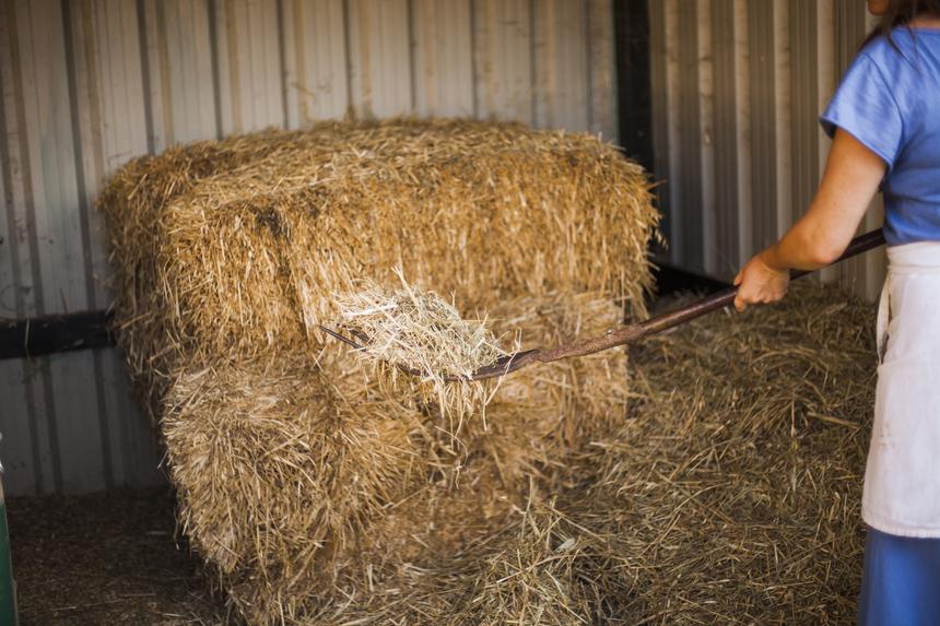 Воткнул вилы в голову: конфликт на автостоянке между приятелями закончился госпитализацией