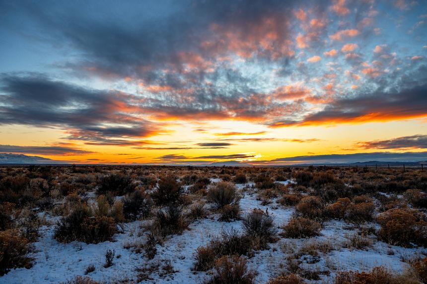 Уже пять дней не выходят на связь: отец с сыном пропали в тундре