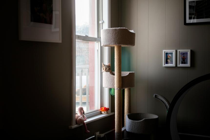 Сосед избил 54-летнюю актрису Елену Фомину до сотрясения мозга