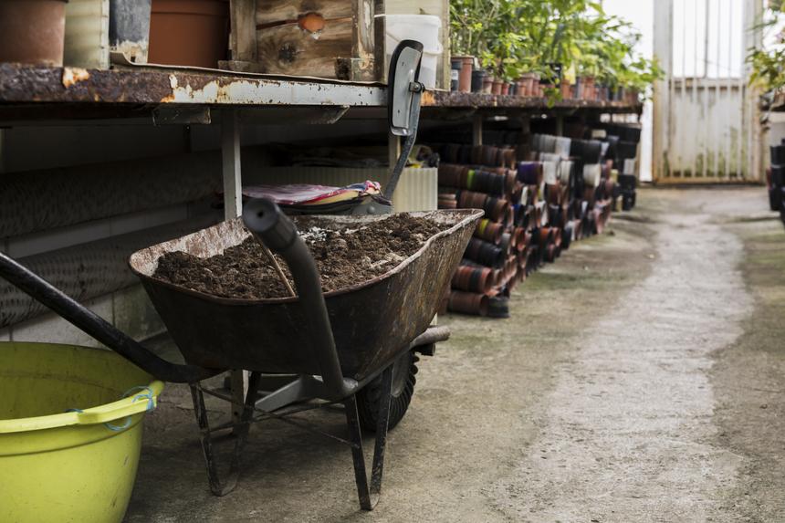 Был застигнут знакомым: москвич задушил ремнем сожительницу и попытался вывезти ее труп в тележке