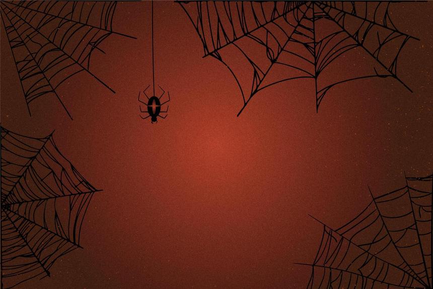 «Спайдермен» не смог пересечь границу: украинец пытался уплыть в Молдавию на матрасе с Человеком-пауком