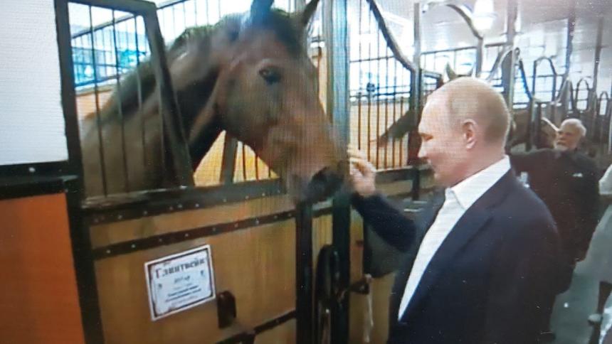 Владимир Путин в конюшне в Ново-Огареве