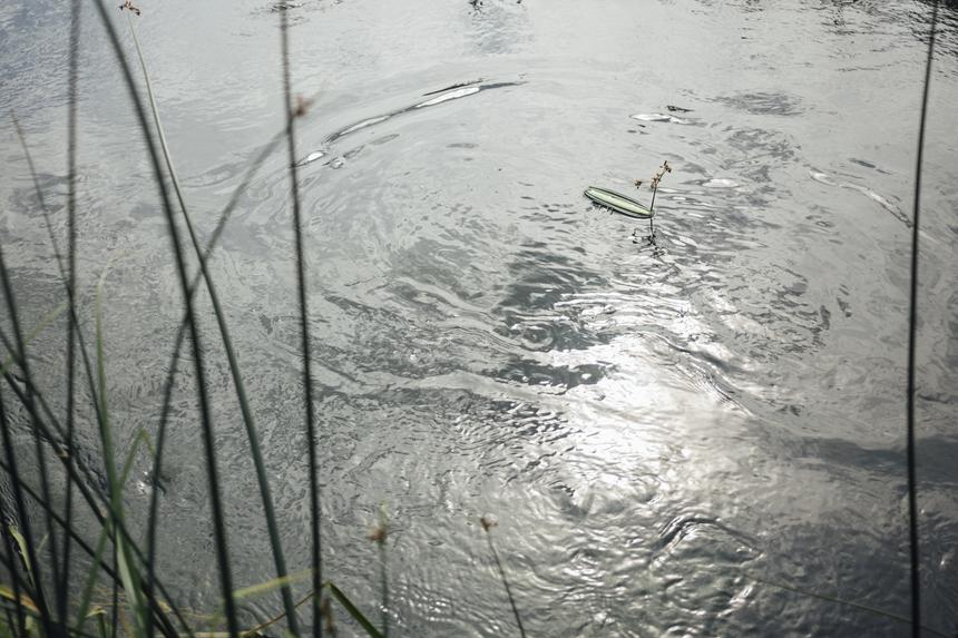 Ноев ковчег: дом с женщиной и двумя детьми внутри унесло потоком воды при прорыве дамбы