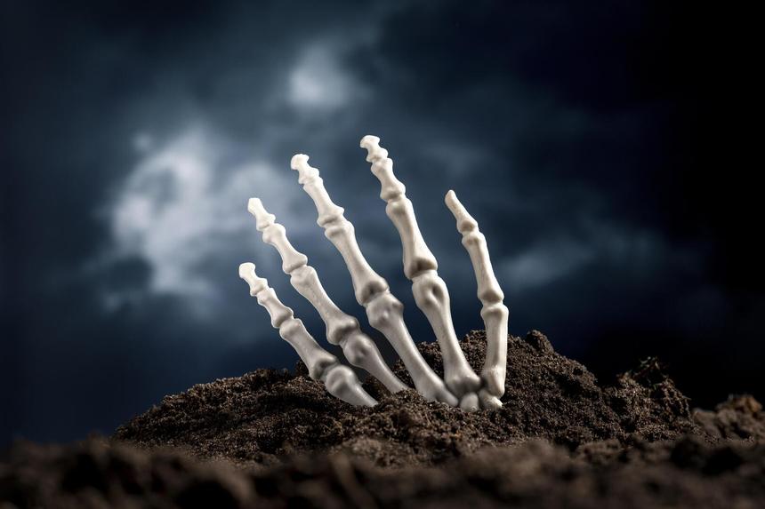 Тело пролежало в лесу не один месяц: украинец превратился в скелет, пока скрывался от мобилизации на родине