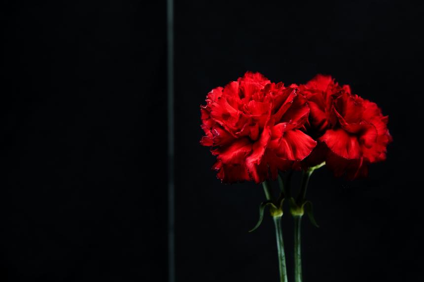 Актер из «Беверли-Хиллз, 90210» Аки Алеонг умер на 91-м году жизни