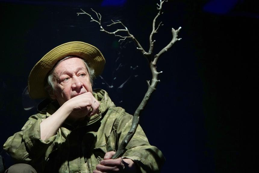 Шесть квартир стоимостью полмиллиарда рублей: раскрыта вся недвижимость Михаила Ефремова и Софьи Кругликовой