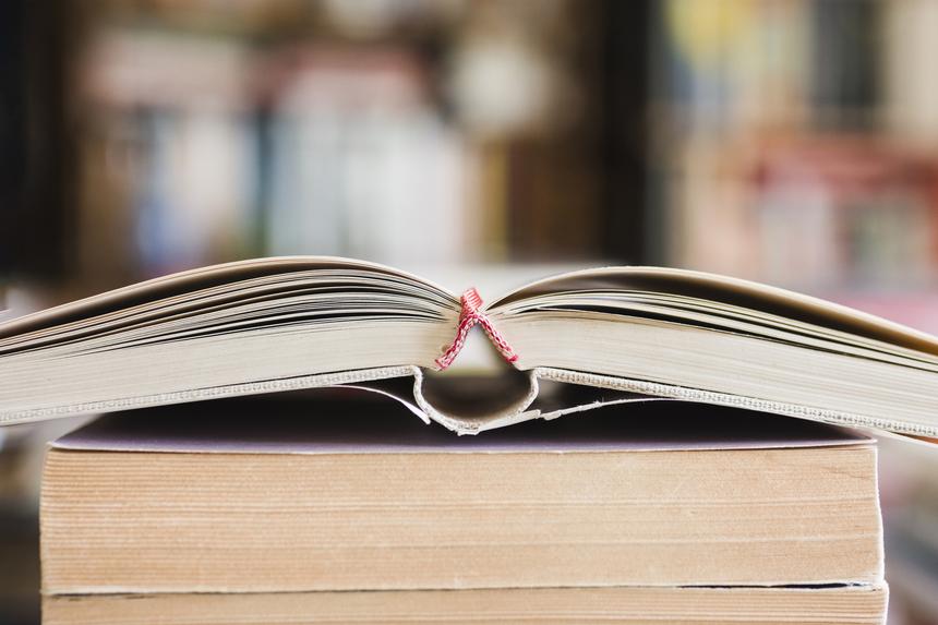 «Неужели нельзя найти более достойного примера?»: Ивана Бунина предложили убрать из школьной программы