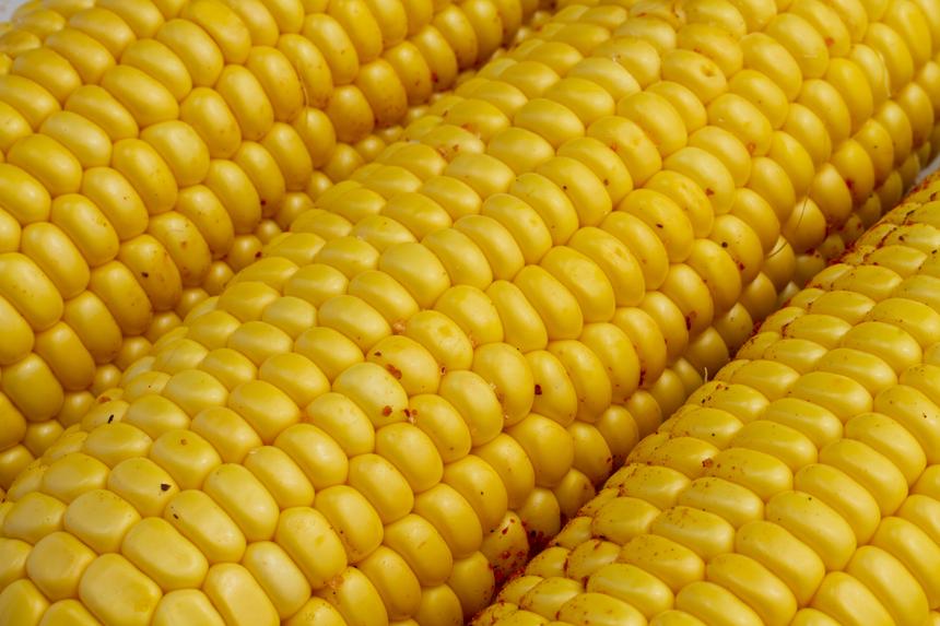 Врач рассказала, чем опасна кукуруза для людей с болезнями ЖКТ: рискуют оказаться в больнице