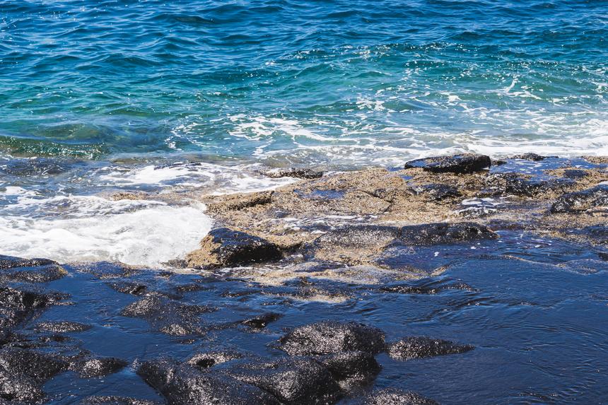 23 человека застряли на пляже из-за лесного пожара под Геленджиком