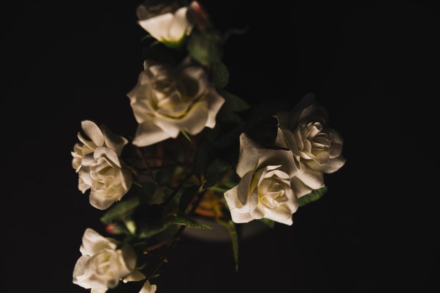 Отправил к гробу любовницы 58 роз и уничтожил дневники: как умер Константин Симонов