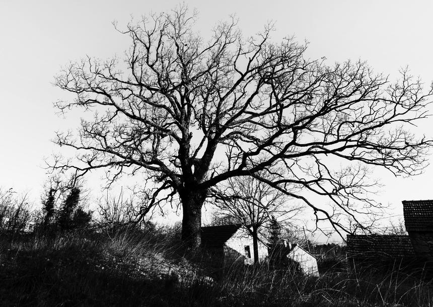 Третьи похороны за месяц: в семье умершей на могиле бойца СВО женщины скончался второй сын