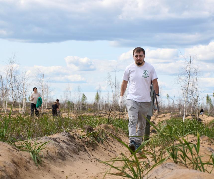 «Сложно представить мир без леса, но есть страны, в которых это реальность»: как в России борются за природу