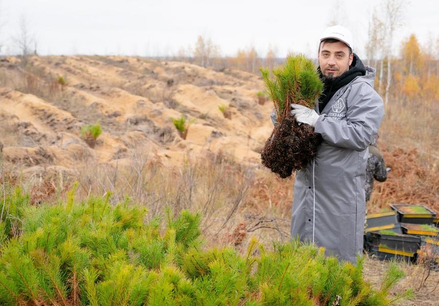 «Сложно представить мир без леса, но есть страны, в которых это реальность»: как в России борются за природу