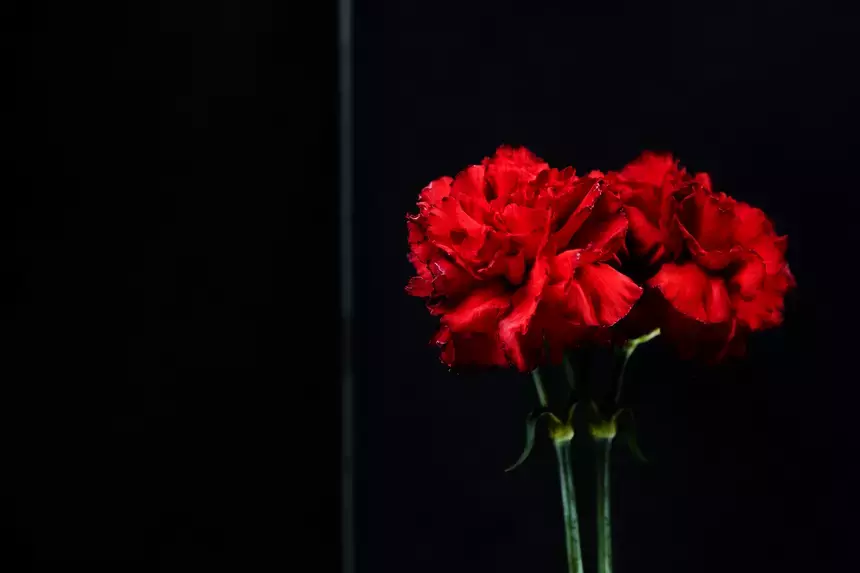 Актер из фильма «Побег из Шоушенка» Нил Саммерс умер на 82-м году жизни