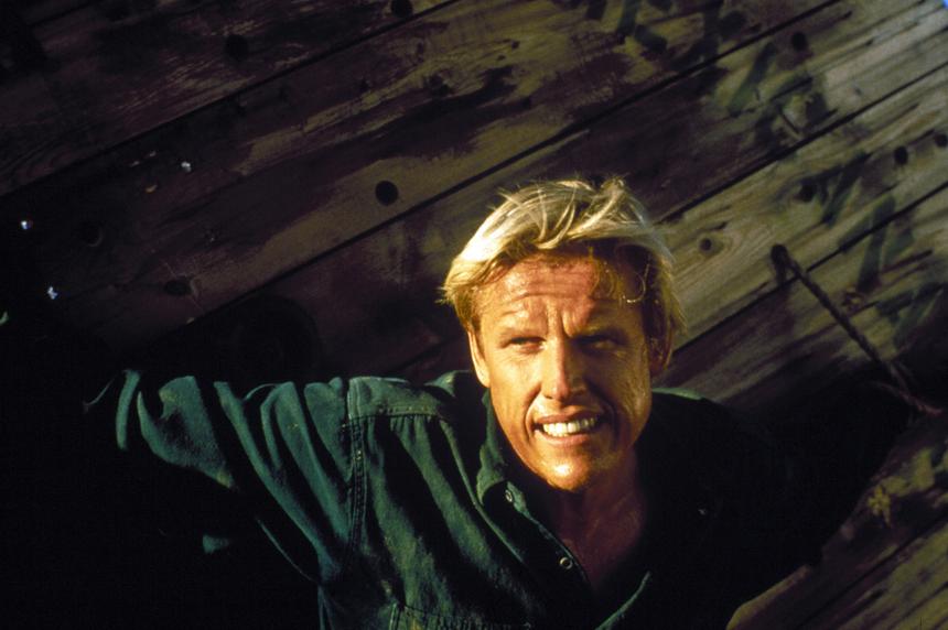 Актер Гэри Бьюзи приговорен к двум годам за непристойное поведение на фестивале фильмов ужасов